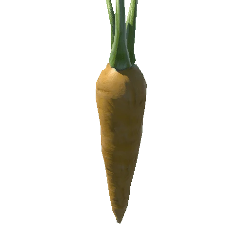 carrot1 (3)
